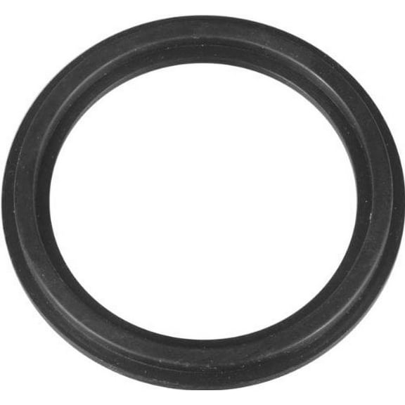Intex Stepped Washer Gasket