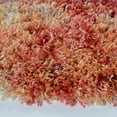 thumbnail image 3 of Safavieh Gypsy Ulric Abstract Area Rug, Rust/Ivory, 3' x 3' Round, 3 of 8