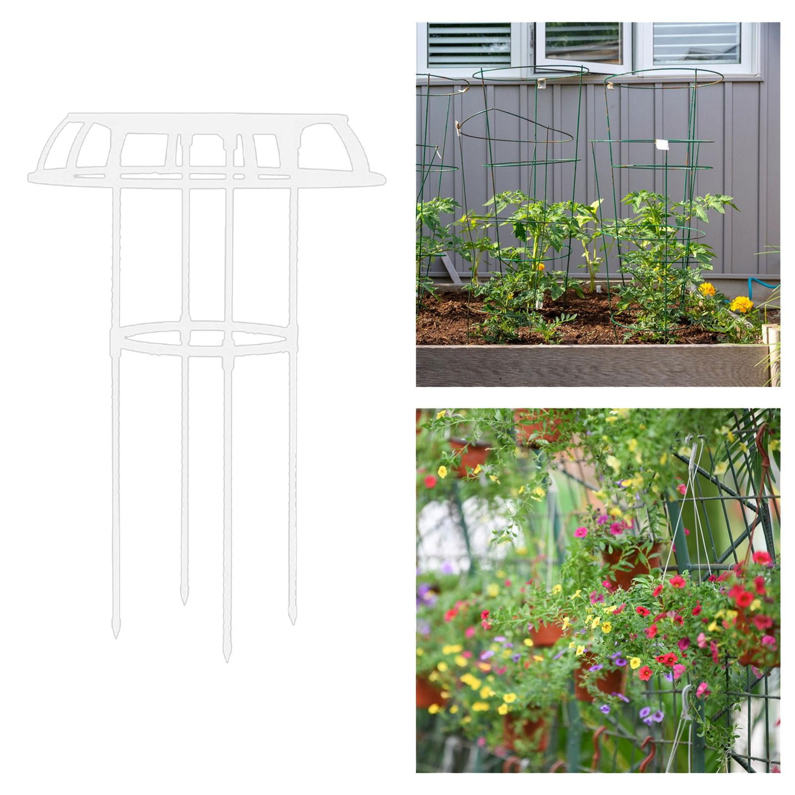figatia Garden Trellis Plant Support Trellis Decorative Sturdy Tomato Cage,Metal Plant Trellis for Flowers Vines Cucumbers Vegetables 75x50cm