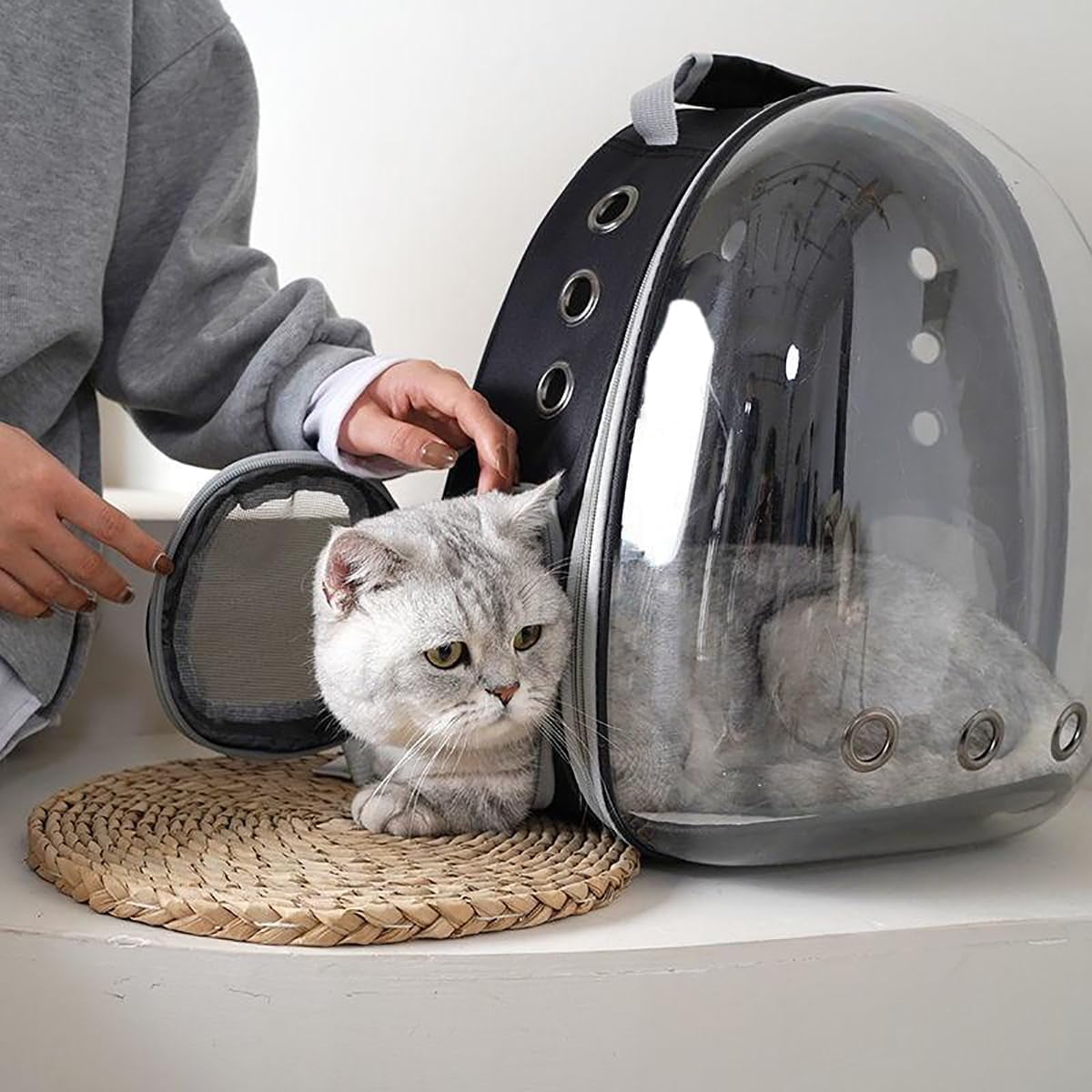 DENZUS Bubble Expandable & Foldable Cat Backpack Carrier, Breathable Pet Backpack for Large Cats, Designed for Hiking, Travelling, Camping
