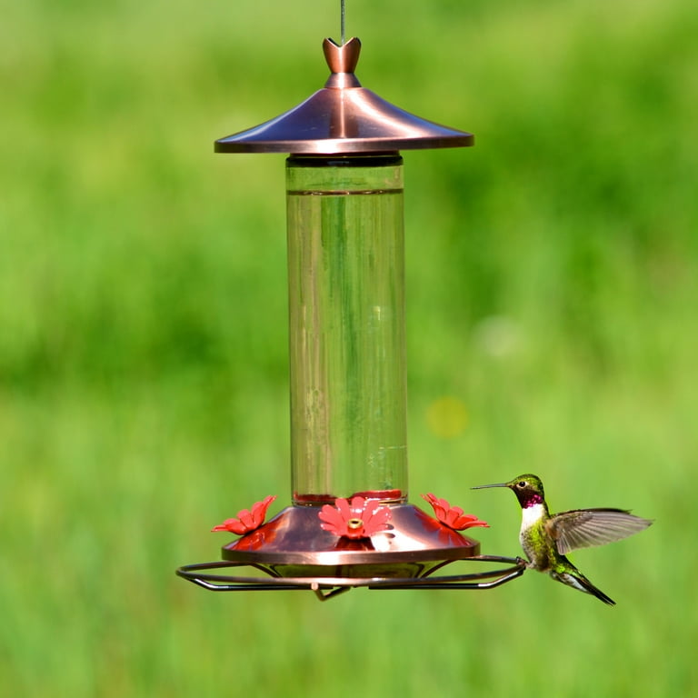 Perky-Pet 12 oz Elegant Copper Glass Hummingbird Feeder Perky-Pet 12 oz Elegant Copper Glass Hummingbird Feeder