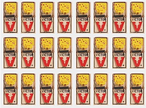 Victor EZ Set Mouse Trap Pack of 6