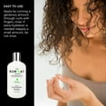 thumbnail image 4 of The Runway Looks Anti-Frizz Conditioner, Restores Hair Vibrancy (12oz), 4 of 8