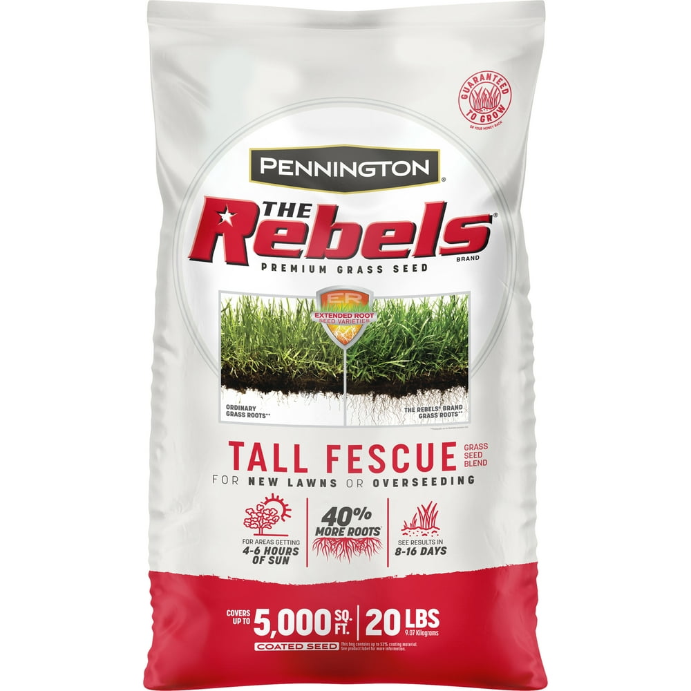 Pennington Rebels Tall Fescue Grass Seeds for Lawn, for Sun to Medium