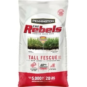Angle View: Pennington Rebels Tall Fescue Grass Seeds for Lawn, for Sun to Medium Shade; 20 lb Grass Seed Bag