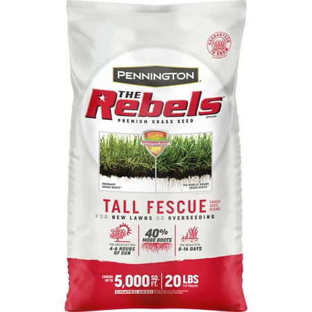 Pennington Rebels Tall Fescue Grass Seeds for Lawn, for Sun to Medium Shade; 20 lb Grass Seed Bag