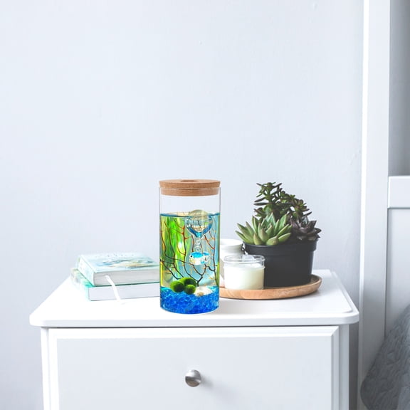 Nestingho Smooth Surface Glass Terrarium Jar 1Pcs 8.3X3.9X3.9In