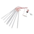 thumbnail image 1 of Guirlande Lumineuse LED Ultra Lumineuse Imperméable pour Fête Mariage, 1 of 8