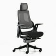 thumbnail image 2 of Desky Pro+ Chaise Ergonomique - Noir, 2 of 10