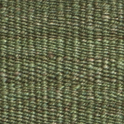 SAFAVIEH Natural Fiber Clara Braided Jute Area Rug, Green, 5' x 8'