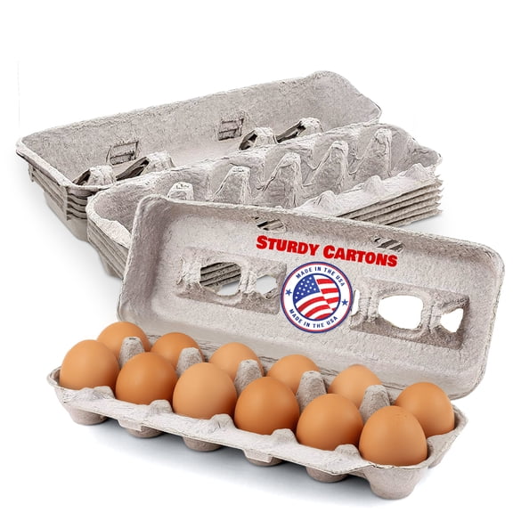 Vented Paper Pulp Egg Cartons (24 Pack) - Walmart.com