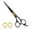Black / Gold, variant on Nixcer - Professional Razor Edge Stainless Steel Hair Cutting Scissors - 6.5 inch - Silver