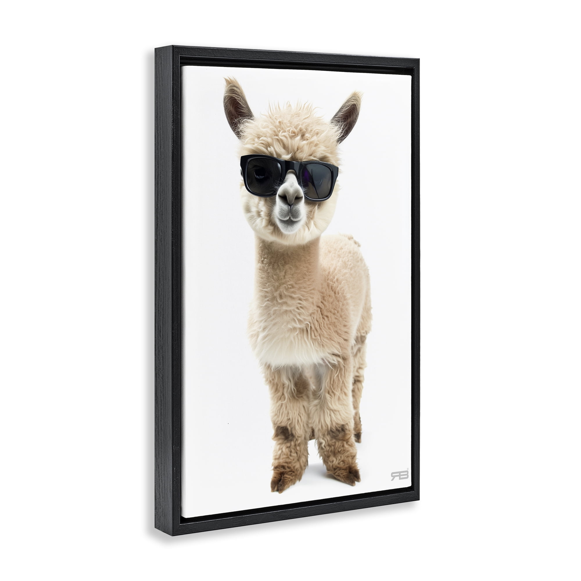 Stupell Industries Cool Alpaca & Glasses Animals & Insects Painting Black Floater Framed Art Print Wall Art, 17 x 25
