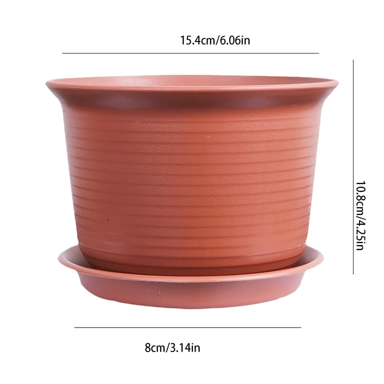 planta jade hembra Mini 2-Inch Wood Indoor Plant Stand & Pot
