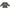 Charcoal Grey, variant on Inktastic Birthday Boy Letters Boys Long Sleeve Toddler T-Shirt