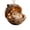 F, variant on SLYNSHome Pine Cone Animal Hanging Ornaments 2D Acrylic Forest Animal Decor DIY Crafts for Home Party Decor