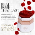 thumbnail image 2 of GLAMOUR BOUTIQUE Hexagon Single Forever Red Rose Box - Preserved Roses in a Box, Immortal Roses in a Box That Last A Year - Eternal Rose Preserved Flowers for Delivery Prime Mothers & Valentines Day, 2 of 8