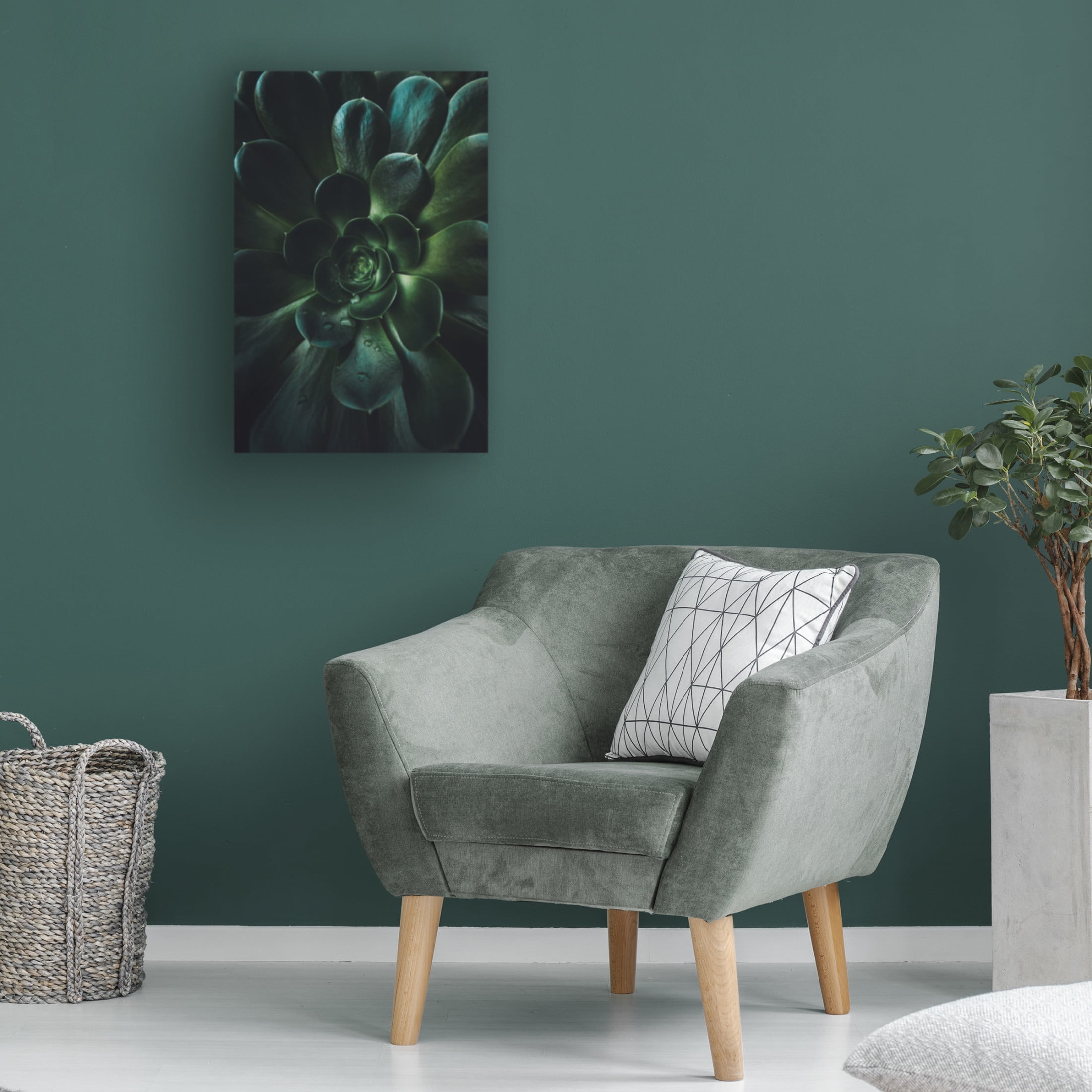 Trademark Fine Art Tim Mossholder Succulent Canvas Wall Art