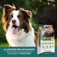 thumbnail image 3 of Alimento para perro Hachi Todos Los Tamaños/razas Hachi Mantenimiento, 3 of 5