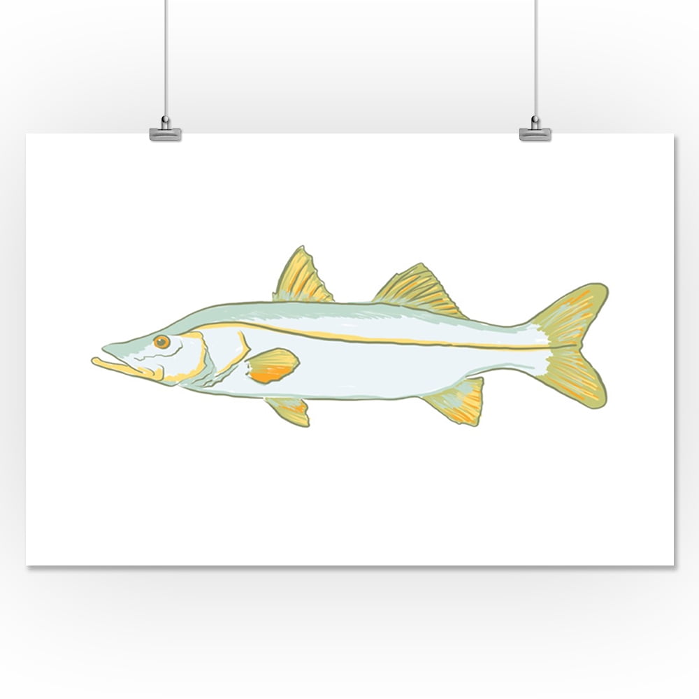 Snook Fish, Icon (16x24 Giclee Gallery Art Print, Vivid Textured Wall  Decor) 
