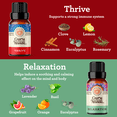 thumbnail image 2 of GuruNanda Essential Oils Set of 6  Blended Scents for Aromatherapy and Diffusers, 100% Pure and Natural, 10 mL Each, 2 of 8