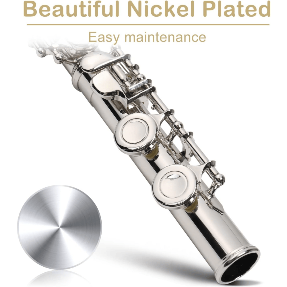 Tcbosik 16 Keys C Closed Hole Flute with E Key, Instrument for Beginner with Carrying Case, Cloth, Lubricant, Screwdriver and Cleaning Rod, Silver