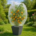 thumbnail image 2 of Fruit Tree Protection Bags 2.5x3.5 FT in 4 Pack | Multiple Size Garden Netting for Fruit & Vegetable Protection | White Plant Net Cover for Blueberry & Tomato | Bird & Insect Mesh Fabric Protector, 2 of 6