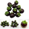 thumbnail image 2 of 10pcs Simulated Mangosteens Foam Fake Mangosteens Simulations Fruit Model Photo Props Early Education Toy Shop Display, 2 of 8