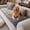 Dark Grey, variant on Nalqet 27.6×47.2 inch Plush Sofa Slipcovers for 2 Cushion Couches – Washable Fuzzy Non Slip Furniture Protector Couch Cover for Pets and Dogs Cats, Coffee