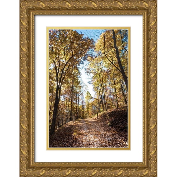 Lee, Judson 11x14 Gold Ornate Wood Framed with Double Matting Museum Art Print Titled - Golden Path Entrance