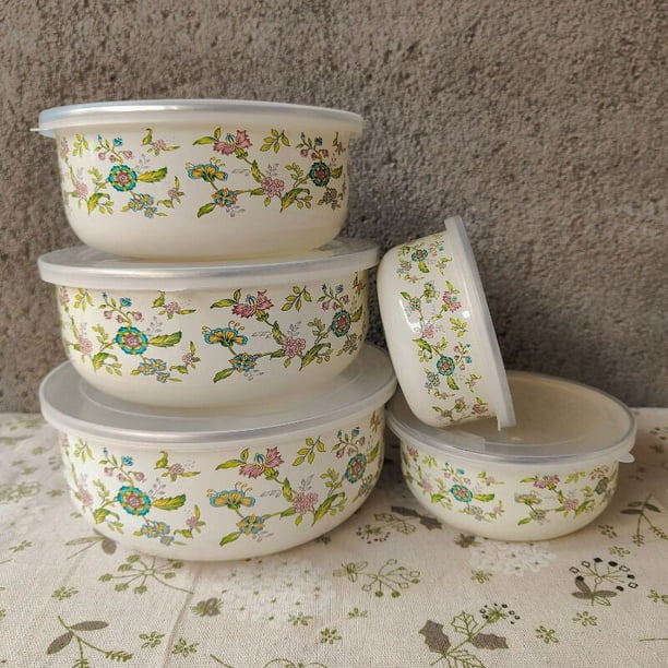 Cuenco para conservas de esmalte, juego de 5 cuencos para hielo, recipiente para conservas de esmalte, recipiente refrigerado