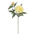 thumbnail image 1 of Mainstays Artificial Peony Long Stem, 1 of 5