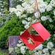 thumbnail image 1 of Comedero colgante para pájaros silvestres al aire libre para cardenales, pinzones, resistente a la lluvia, de forma cuadrada Rojo, 1 of 8