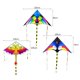 thumbnail image 2 of Colorful Rainbow Kite Deltas Long Tail Nylon Outdoor Surf Kid Toys Flying Kid With Kite Kites Kids Outdoor Toys heqiyong LED, 2 of 2