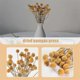 thumbnail image 5 of 40Pcs Dried Craspedia Flowers Dried Billy Button Balls Flowers,Dried Flower Bouquet for Arrangements, 5 of 5