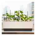thumbnail image 3 of QZS Modern Plastic Plant Pot,12x3.8x4.6In Durable Flower Box with Drainage Holes for Garden,Balcony,Indoor,Outdoor,1Pack, 3 of 6