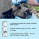 thumbnail image 2 of Removedor de garrapatas y eliminador de garrapatas para perros: 3 ganchos para garrapatas para gatos y humanos, eliminador de garrapatas de todos los tamaños JM, 2 of 5