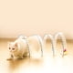 thumbnail image 2 of Juguete túnel para gatos plegable interactivo para rascar y rascar., 2 of 7