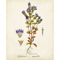 thumbnail image 2 of Unknown  15x18 White Modern Wood Framed Museum Art Print Titled - Antique Herb Botanical II, 2 of 4