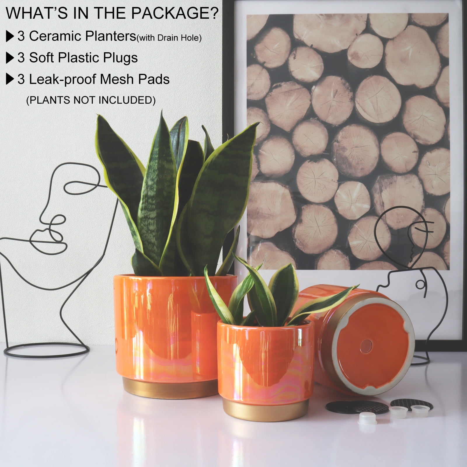 YFFSRJDJ Indoor Plant Pots for Plants, Ceramic Planter with Drainage Hole, 6.0 inch+5.0 Inch+4.0 Inch. Succulent Orchid Flower Pot - Rainbow Pearl Glaze