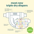 thumbnail image 5 of Babyganics Size 6, 88 count, Absorbent, Breathable, Triple Dry Protection Diapers, 5 of 8