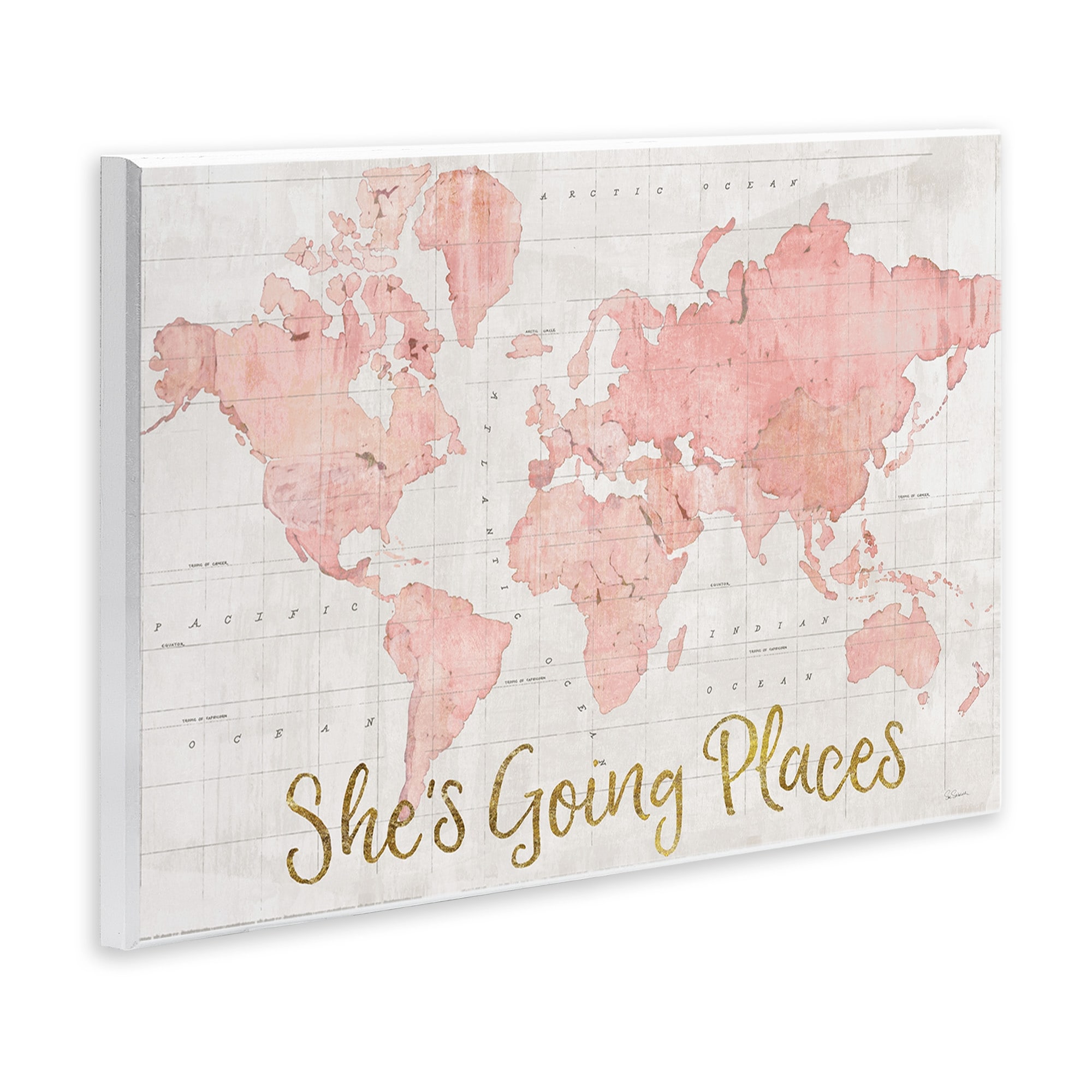 Stupell Industries She's Going Places Quote Pink Watercolor World Map Design by Sue Schlabach