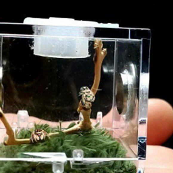 1PC Breeding Box - Portable Acrylic Reptile Enclosure - Breeding Container with Metal Ventilation Hole - for Spider Lizard Scorpion Centipede Horned Frog