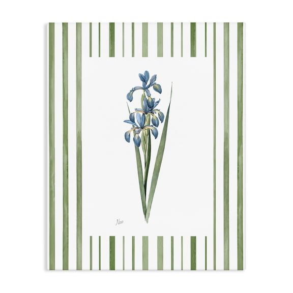 Stupell Industries Farmhouse Spring Irises with Stripes Canvas Art, 16 x 20, by Nan