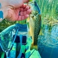 thumbnail image 4 of Bombrooster 4-in-1 Fishing Tool Kit: Landing Net, Pliers, Fish Gripper, Hook Remover. Kayak Fishing Gear & Boat Fishing Accessories for Freshwater Saltwater Fishing, 4 of 8