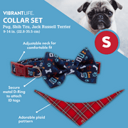 Vibrant Life Red Plaid Bandana & Collar Set for Dogs