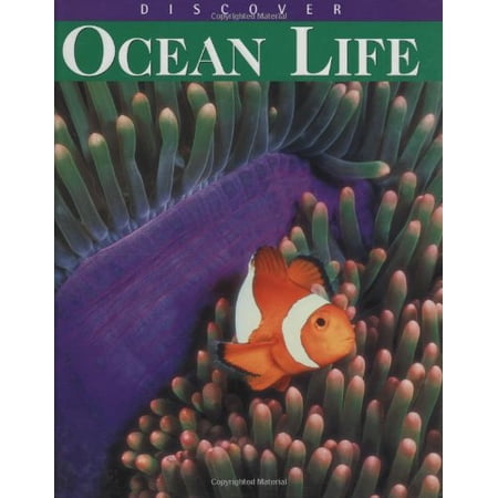 Pre-Owned Discover Ocean Life 9780785361114 0785361111 Hardcover