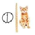 thumbnail image 1 of Papel Diseño De Gato Toallero De Papel Soporte Para Inodoro De Cocina seitruly HA044173-01, 1 of 6