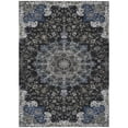 thumbnail image 2 of Addison Rugs Chantille Indoor/Outdoor Traditional Global Black Machine Washable Rectangle Rug, 10' x 14', 2 of 8