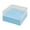 Blue, variant on Contemporary Large Capacity Nails Tool Organized Box 100 Slots Clear Top Storage Case For Professional Manicurists